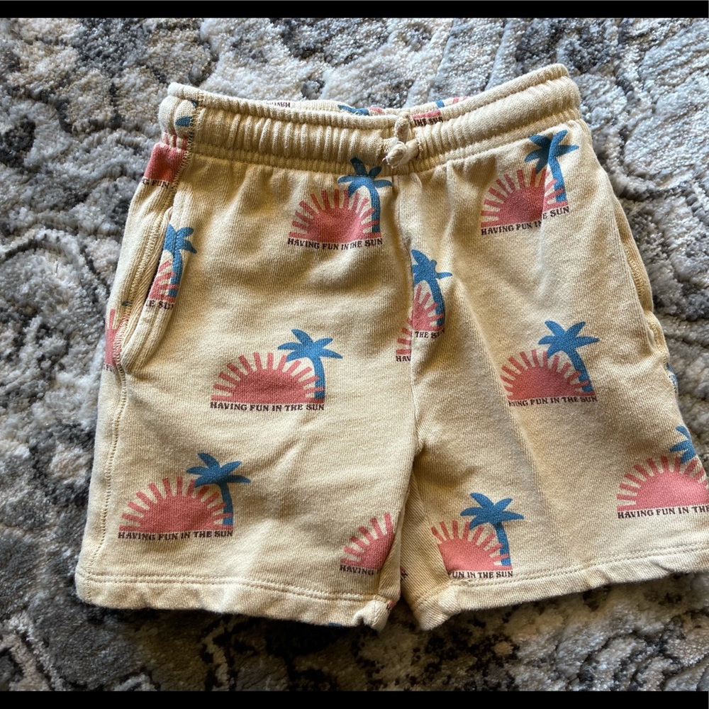 Zara shorts